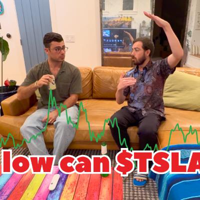How Low (or high) Can Tesla Stock Go?? 🍻