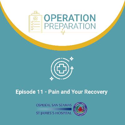 Episode 11 - Pain and Your Recovery