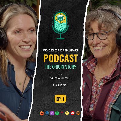 The Origin Story The Origin Story