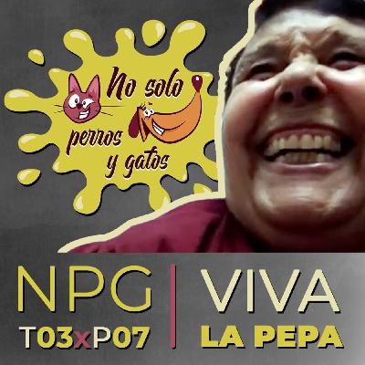 No Solo Perros y Gatos T03xE07: ¡Viva la Pepa!