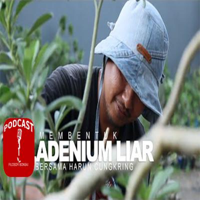 Proses Membentuk Adenium Liar