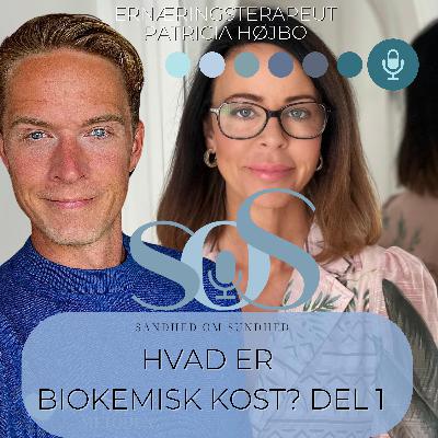 Hvad er biokemisk kost? Del 1