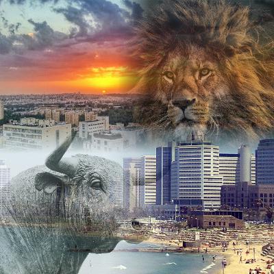 TNS 128: Israel's New Diplomacy in the Semitic Region (with MK Ohad Tal)