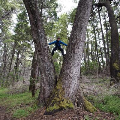 Hojas y Piedras: Programa 41 - Fuerza siempre (Parte II)