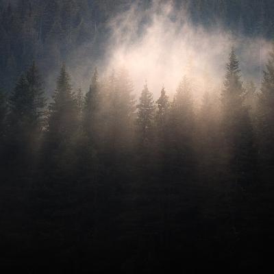 Calming Thunderstorm on a Misty Mountain Sounds for Sleep & Meditation