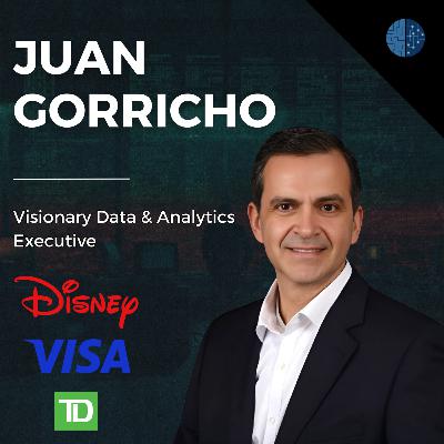 Navigating the AI Hype and Building Data-Driven Cultures | Juan Gorricho