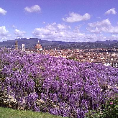 E44: Costanza and the Open Air Garden Spaces and Off the Beaten Path Treasures of Florence