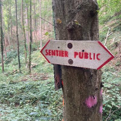 #2 Les sentiers publics, un trésor rare et précieux