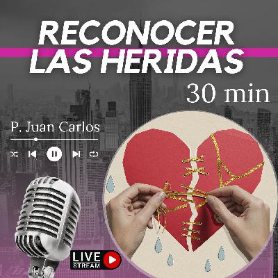 Reconocer las heridas (30 min)