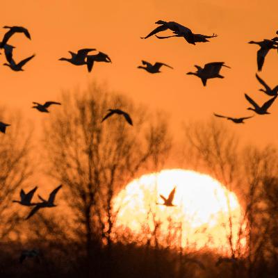 s3e2: Burning Slow - Learson Peak Track #1 s3e2: Burning Slow - Learson Peak Track #1