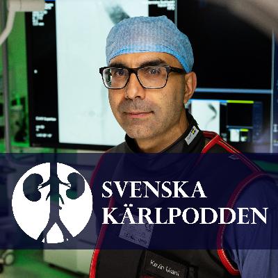 7. Med Ledaren i Arcus - Fellowships, Forskning och Fjällen med Kevin Mani