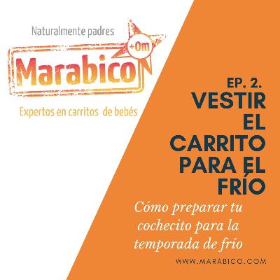 ¿Cómo vestir o preparar el carrito de bebé para la temporada de otoño invierno?