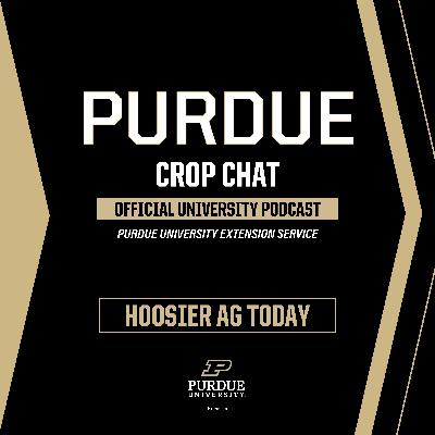 Episode 88 - What We Learned at Commodity Classic