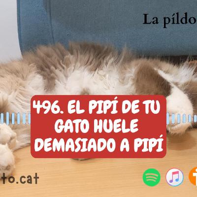 496. El pipí de tu gato huele demasiado a pipí