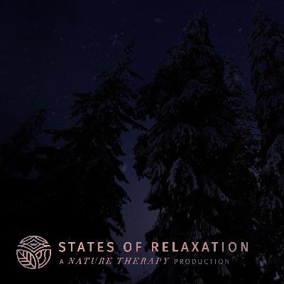 S2 E14: Winter Mountain Winds to Fall Asleep FAST | Howling Wind Sounds in the Mountains: White Noise