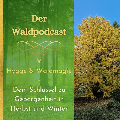 Hygge und Waldmagie - Dein Schlüssel zu Geborgenheit in Herbst und Winter Hygge und Waldmagie - Dein Schlüssel zu Geborgenheit in Herbst und Winter