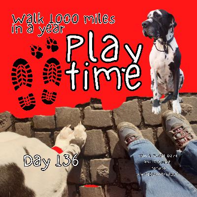 Day 136 – Playtime - Walk 1000 Miles in a Year #walk1000miles #WillowWalks1000Miles