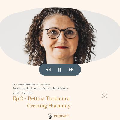 Episode 2 - Creating Harmony Episode 2 - Creating Harmony