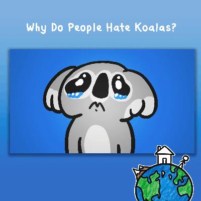 Why Do People Hate Koalas? (ft. @tibees ) Why Do People Hate Koalas? (ft. @tibees )
