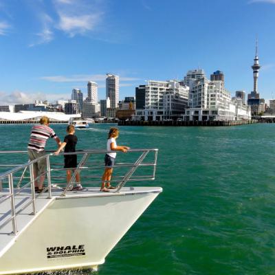 Top 10 things to do in New Zealand