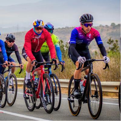 La Opinión Malaya - Una piedra en el camino