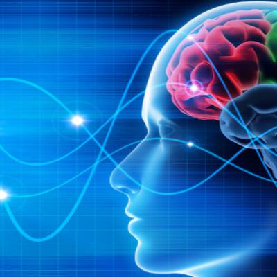 #15 Neurociencia Aplicada al Aprendizaje del Español