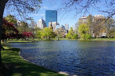 Boston revisitado