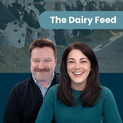 The Dairy Feed: Managing Dairy Margins - Feed Inflation, Milk Prices & Risk Defense