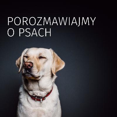 Czy TATRY SŁOWACKIE Z PSEM to dobry kierunek na wakacje? Czy TATRY SŁOWACKIE Z PSEM to dobry kierunek na wakacje?