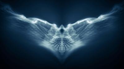 Near-death experiences: myth or mystical? Near-death experiences: myth or mystical?