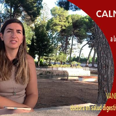 Con el proyecto CALMARA de Vanessa Martín, volveremos a lo que importa