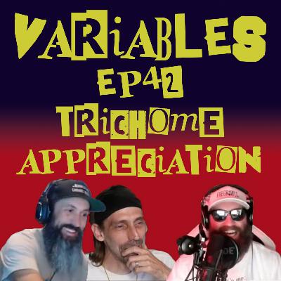 VARIABLES Podcast Ep. 42 - Trichome Appreciation