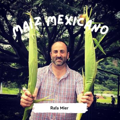 Maíz Mexicano / Rafael Mier Maíz Mexicano / Rafael Mier