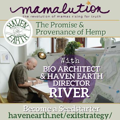 THE PROMISE AND PROVENANCE OF HEMP THE PROMISE AND PROVENANCE OF HEMP