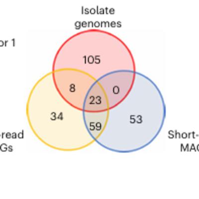 Long-read metagenomics for strain tracking after faecal microbiota transplant