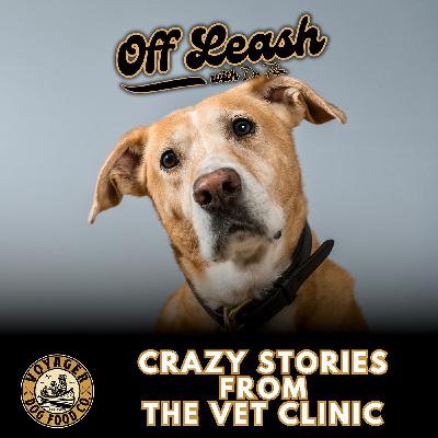Crazy Stories From the Vet Clinic