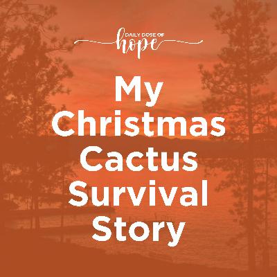 My Christmas Cactus Survival Story  EP 218
