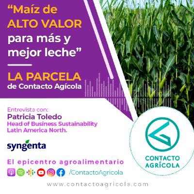 LA PARCELA Ensilado de Maíz de ALTO VALOR para MÁS Y MEJOR LECHE