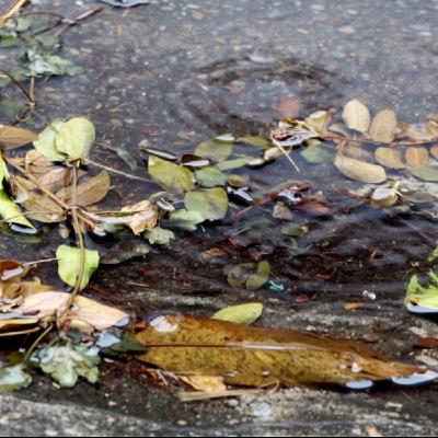 Raining outside of home