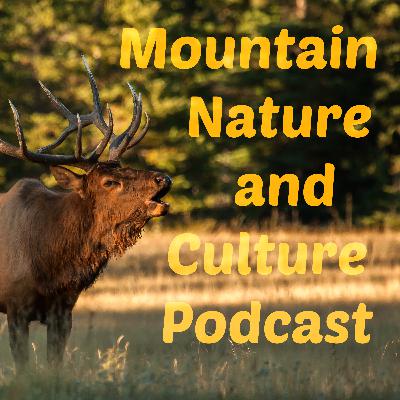070 Polar bears and climate change denial, Alberta's mountains see the highest temperature increases, and did European contact in the New World cause the Little Ice Age