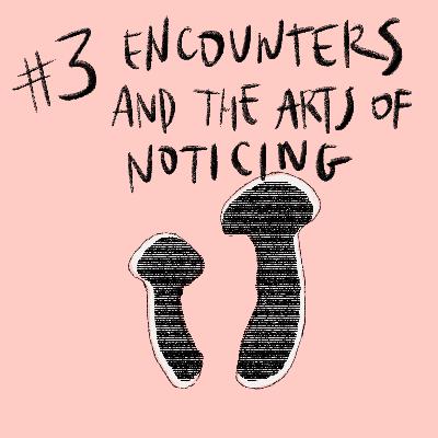 Mushroom - Chapter 3: Encounters and the arts of noticing