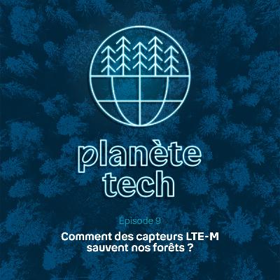 Comment des capteurs LTE-M vont sauver nos forêts Comment des capteurs LTE-M vont sauver nos forêts