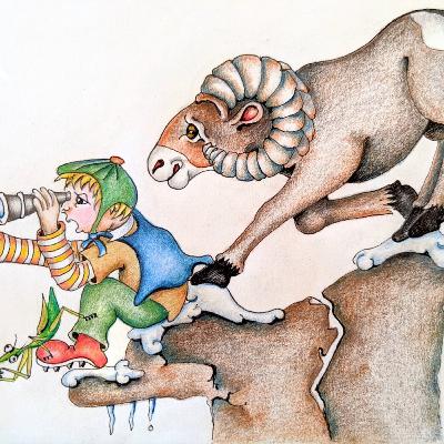 Bighorn Sheep of the Okanogan