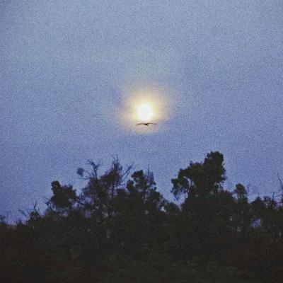 告别失眠 SweetDream Vol.2:飞向月球 告别失眠 SweetDream Vol.2:飞向月球