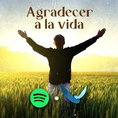 Agradecer a la vida - Volver a ti