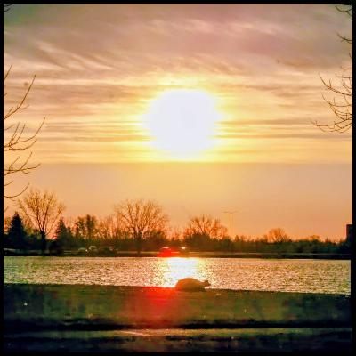 GOD'S HANDIWORK