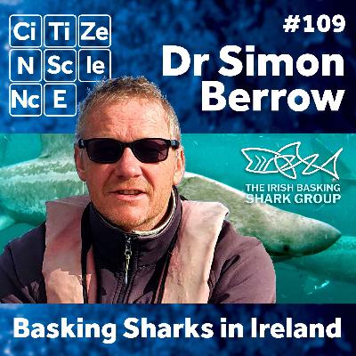 #109 - Dr Simon Berrow | Irish Basking Shark Project | Shark Fever