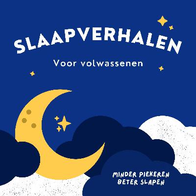 Slaapverhalen voor Volwassenen | De winterse wandeling