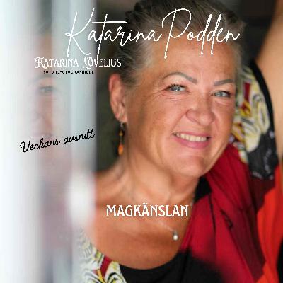 208 Magkänslan