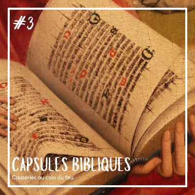 Genèse 1,24-31 : Création de l'homme et de la femme | Capsules Bibliques 📖 #3